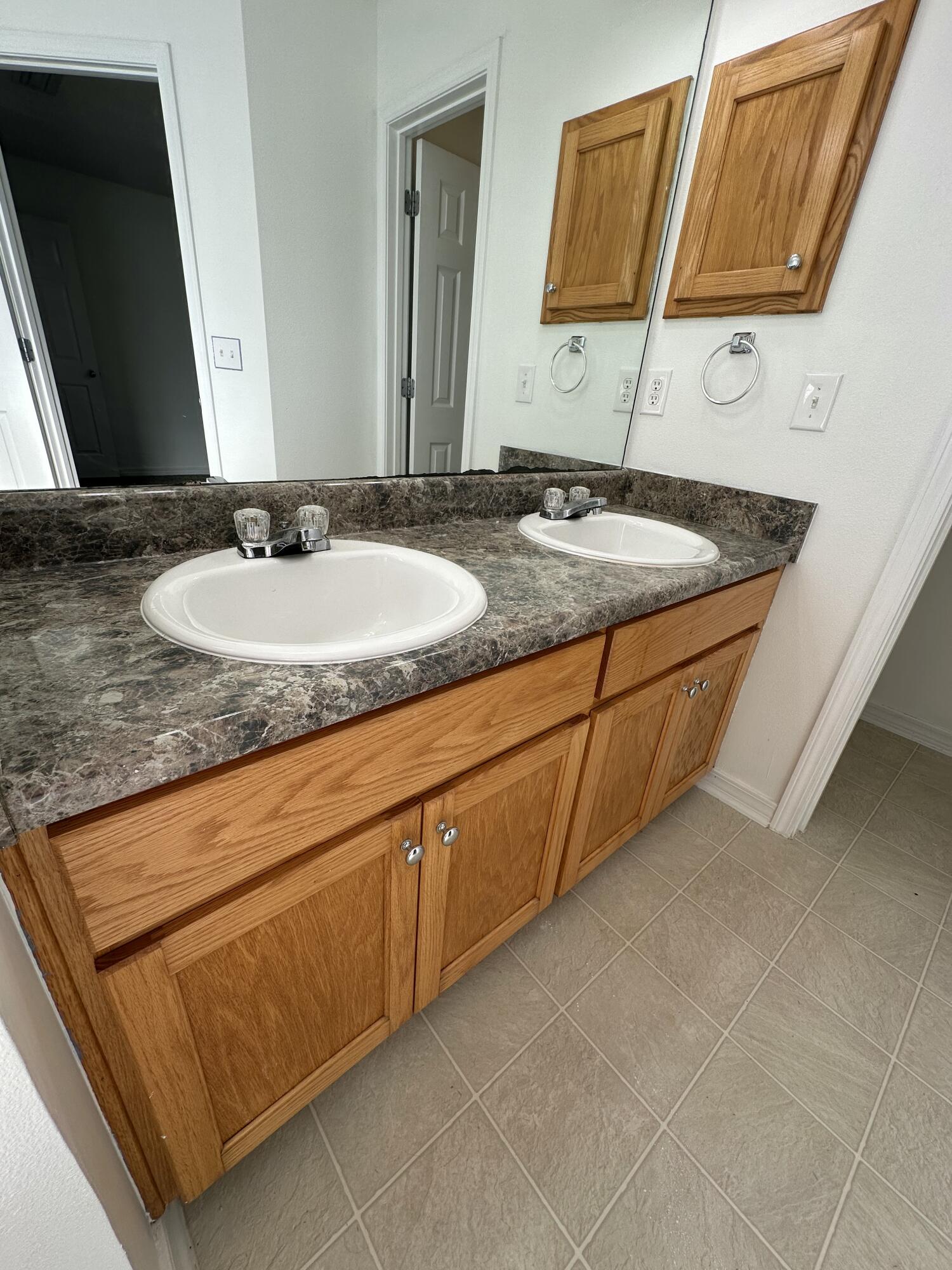 4195 Berry Circle Pace, FL 32571 - Photo 26 of 50 a bathroom with a sink and a mirror