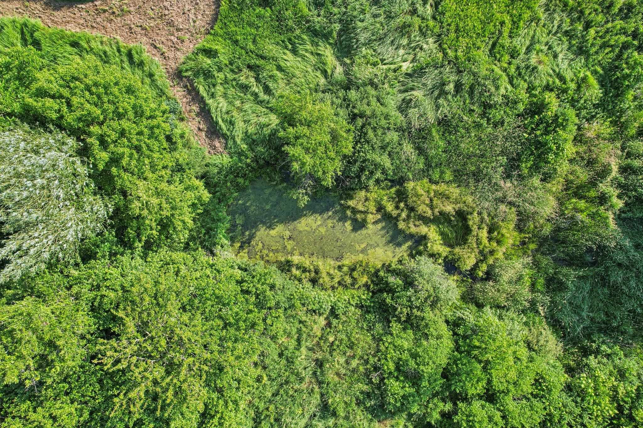 35-ac Hustad Valley Road Belleville, WI 53508 - Photo 11 of 30