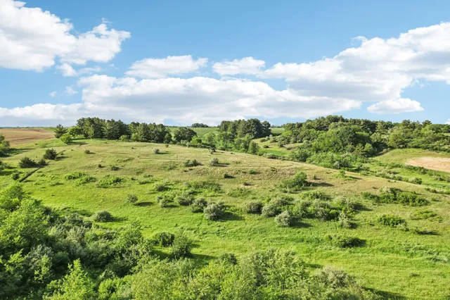 $475,000 | 35-ac Hustad Valley, Belleville, WI 53574