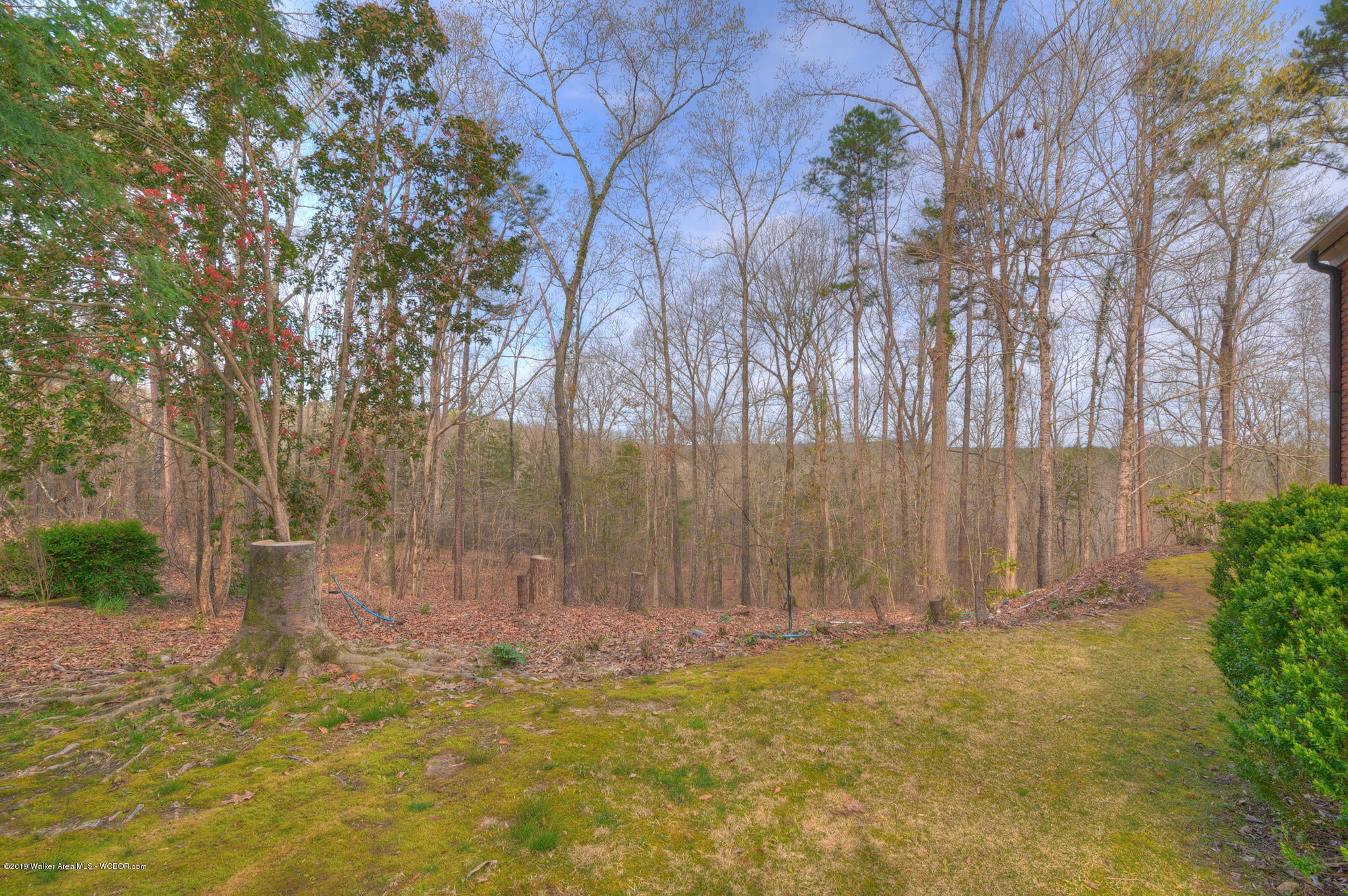 4315 North Walston Bridge Road Jasper, AL 35504 - Photo 34 of 36 Gallery Image 34