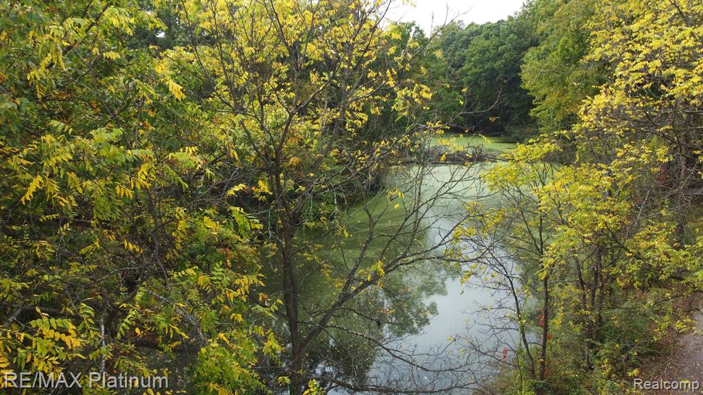 Vl Silverton Road Whitmore Lake, MI 48189 - Photo 7 of 10