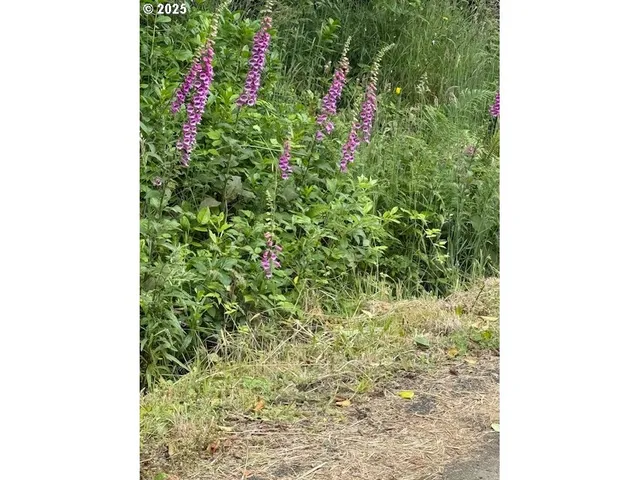 $75,000 | Sunset, Unit 2, Yachats, OR 97498