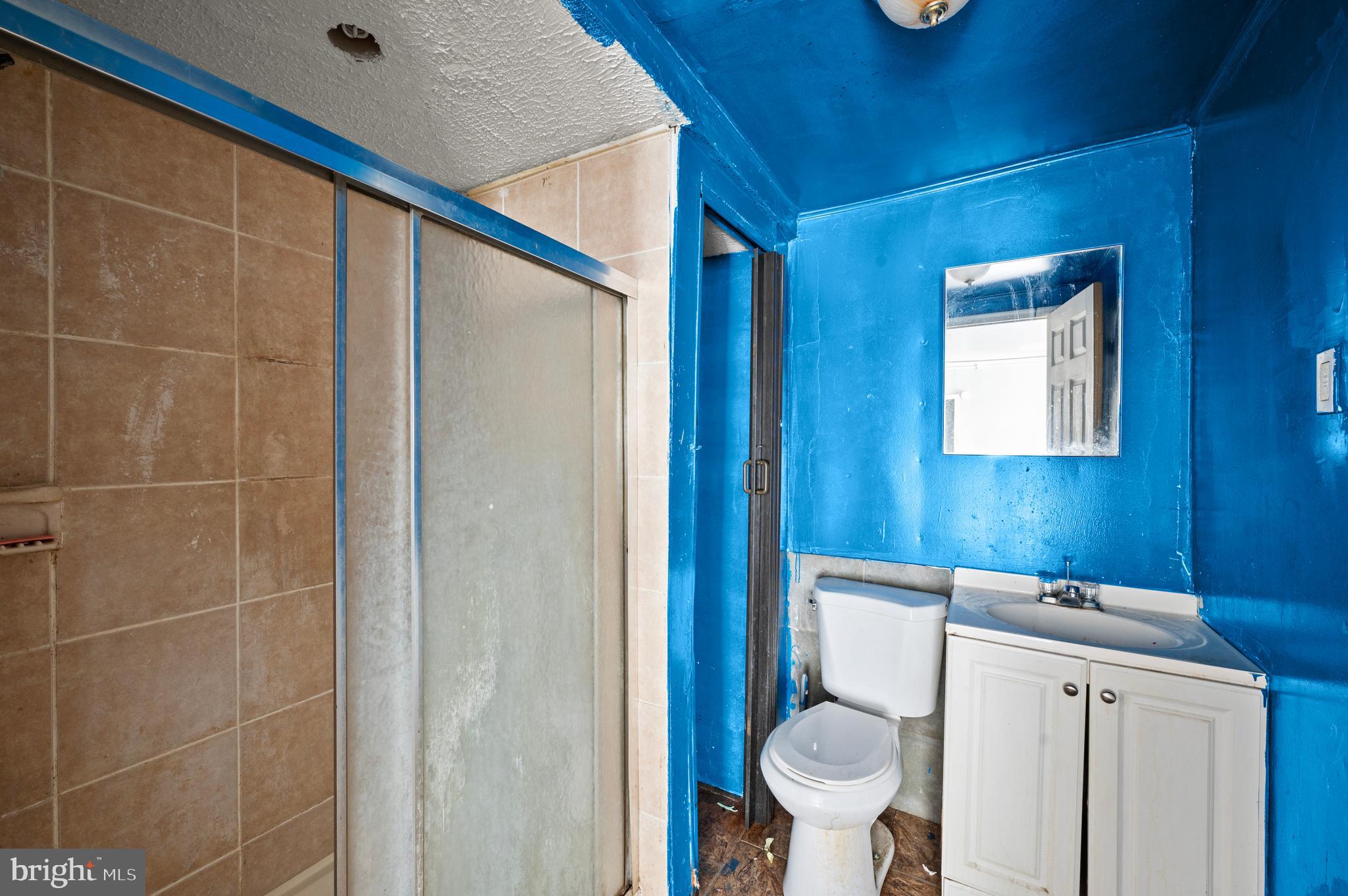 5819 Theodore Street Philadelphia, PA 19143 - Photo 8 of 37 Bathroom
(Ground Level)