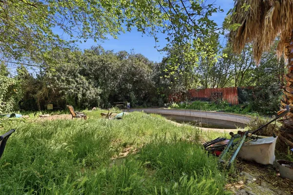 a view of a backyard with plants and a patio