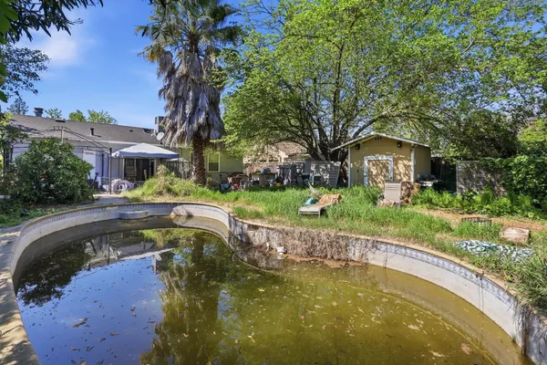 a view of a swimming pool with a garden and trees