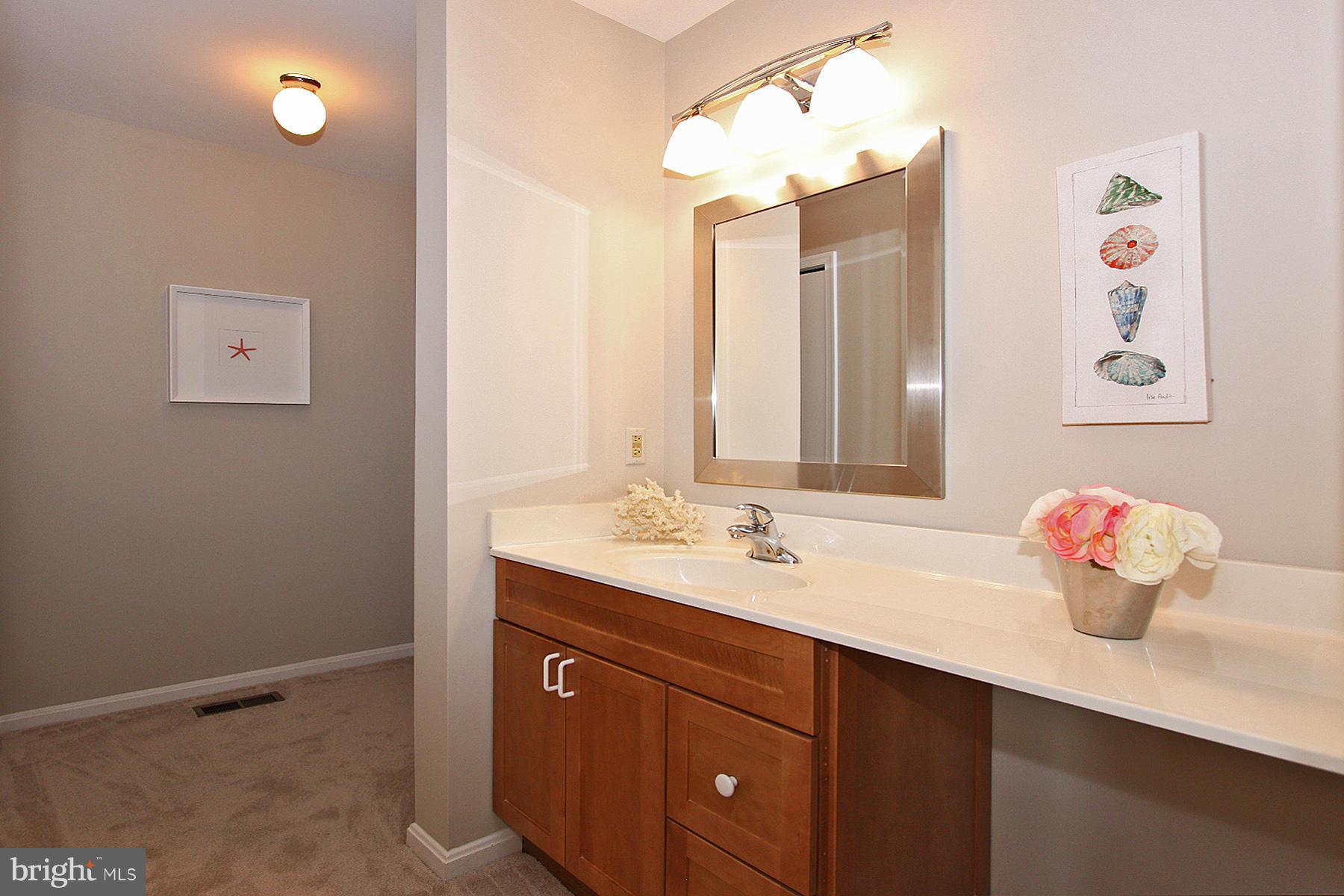 12353 Lima Lane Reston, VA 20191 - Photo 17 of 30 Bath (Master)