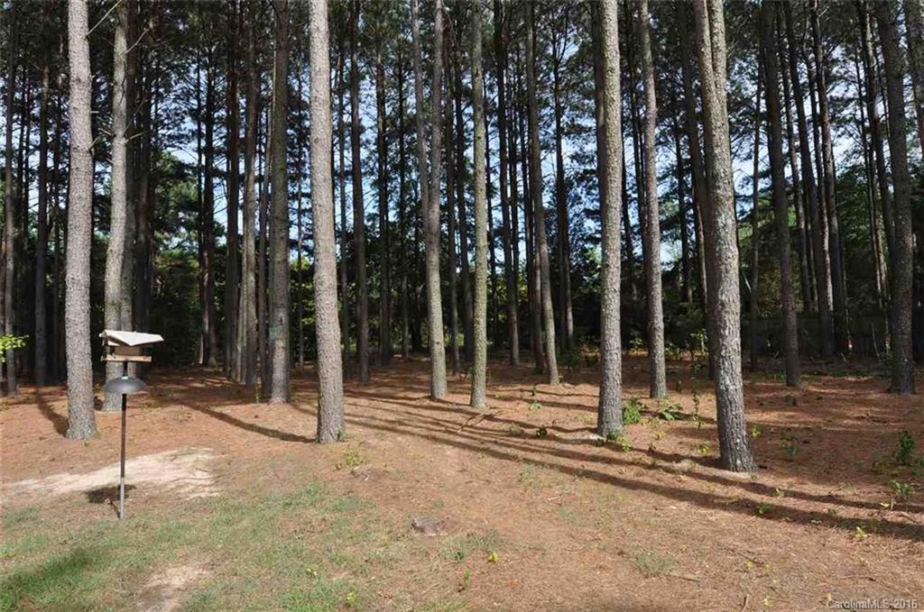 1881 State Road 202 Chester, SC 29706 - Photo 20 of 20 Gallery Image 20