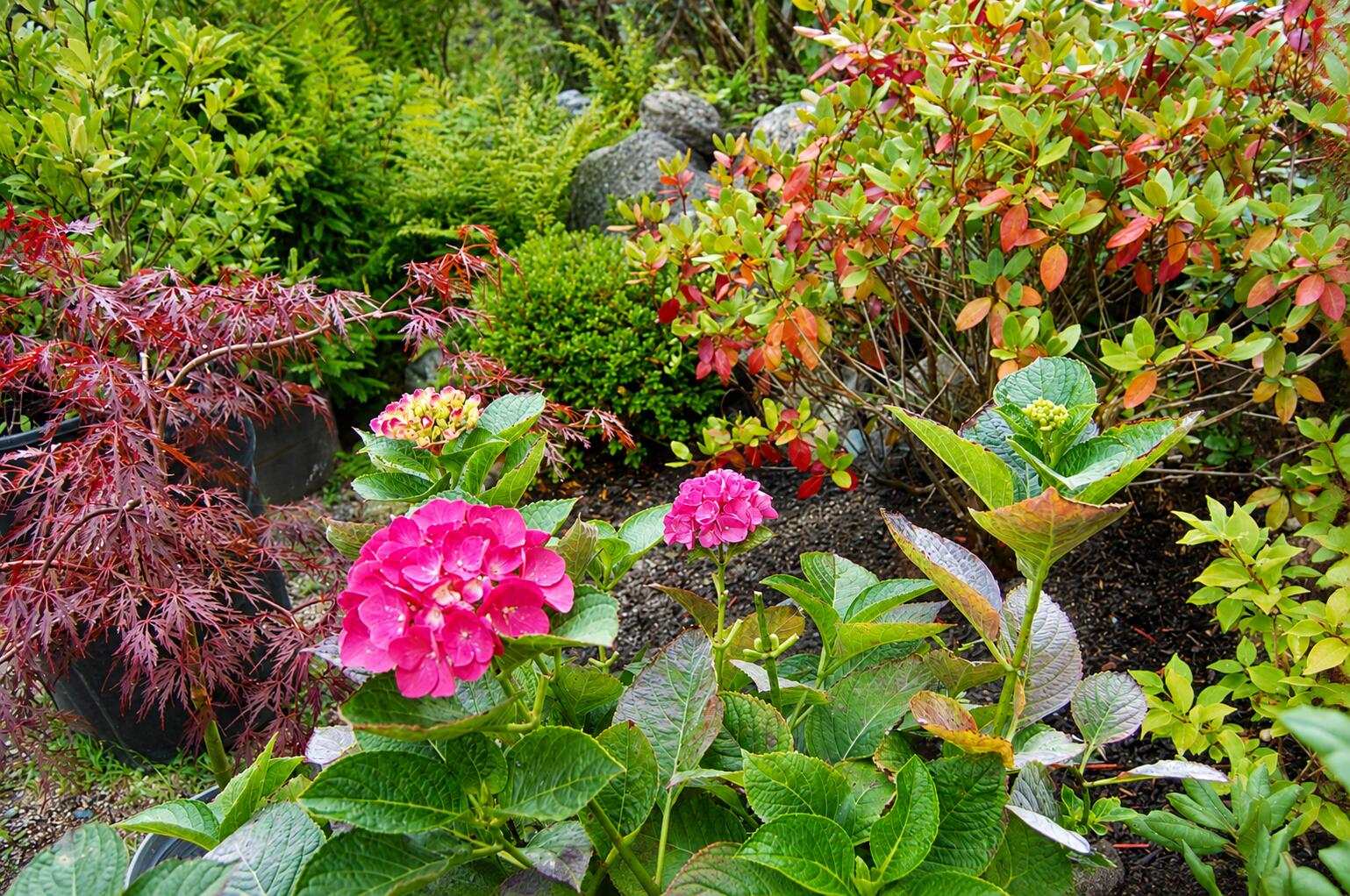 48 Kingsley Farm Road Gouldsboro, ME 04607 - Photo 44 of 77 Landscaping