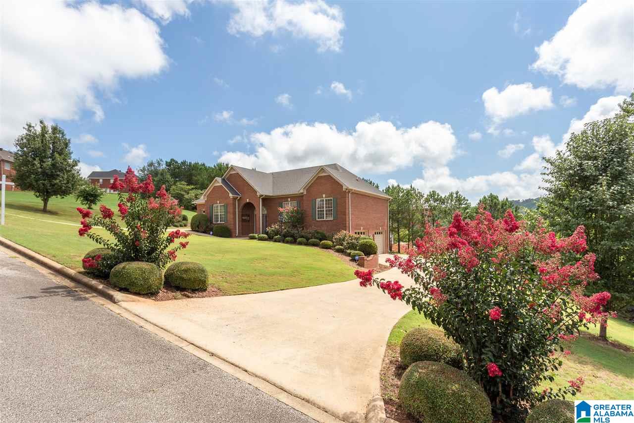 303 Valley View Lane Oneonta, AL 35121 - Photo 2 of 48