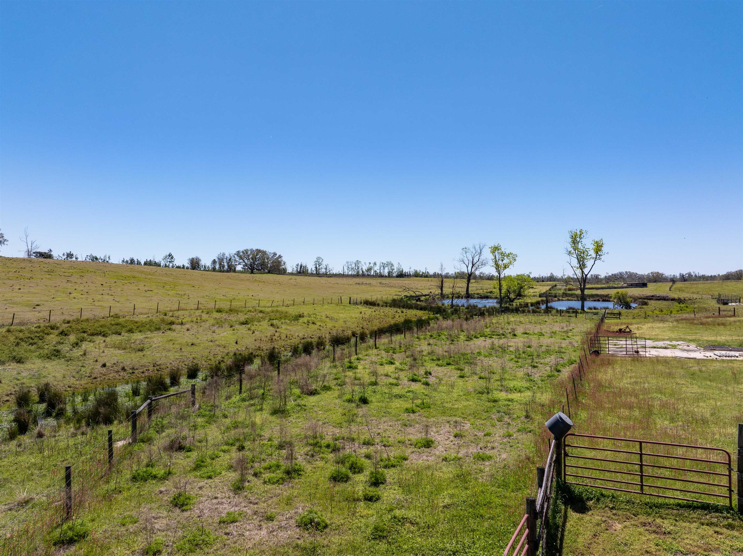 511 Sundown Creek Road Madison, FL 32340 - Photo 8 of 54