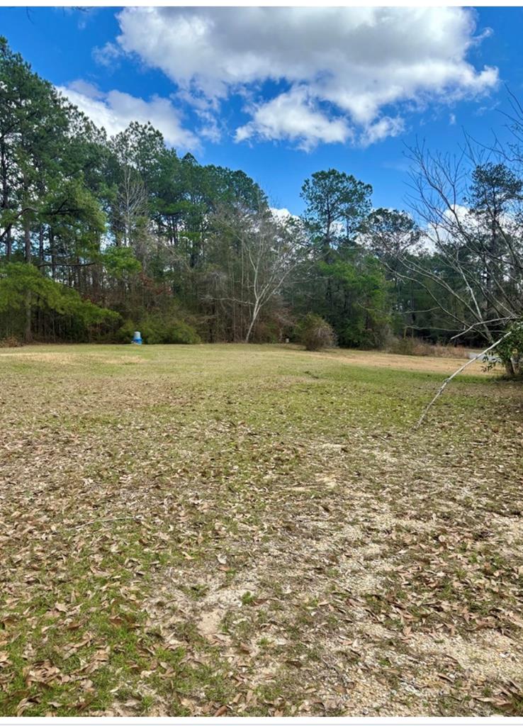 101 Will Thompson Road Picayune, MS 39466 - Photo 1 of 1 Main View
