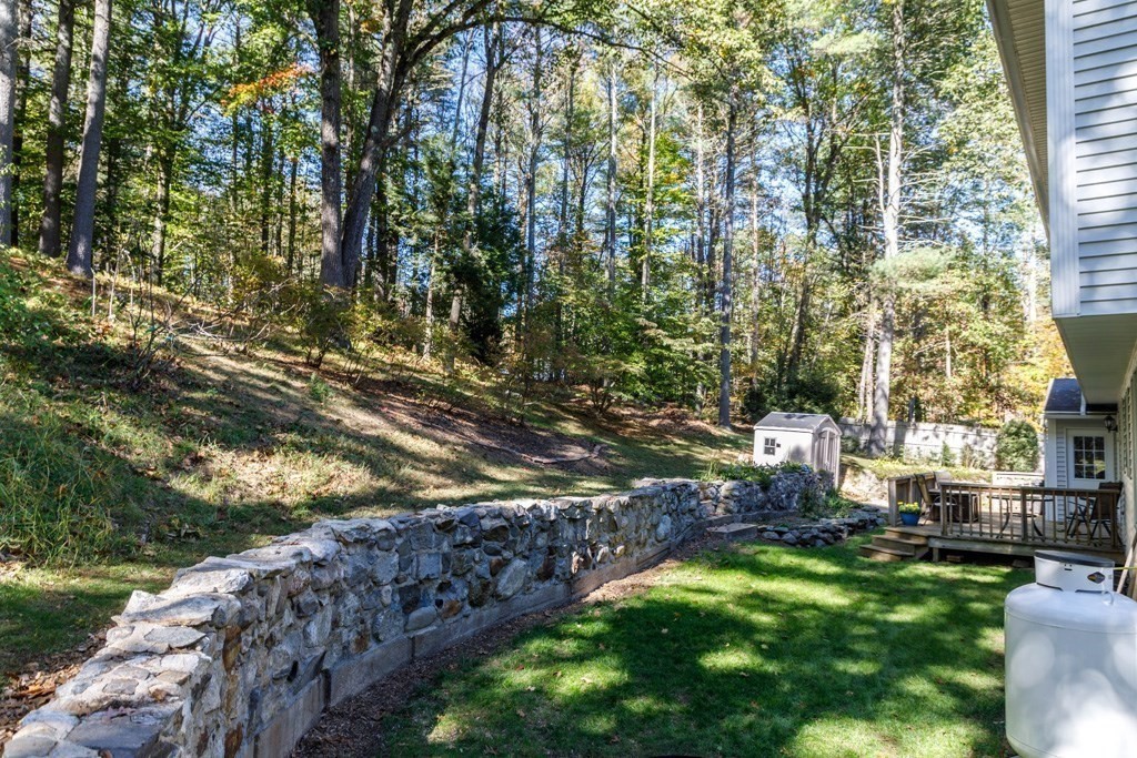 283 Mill Street Gardner, MA 01440 - Photo 23 of 30 a view of a yard with plants and large trees