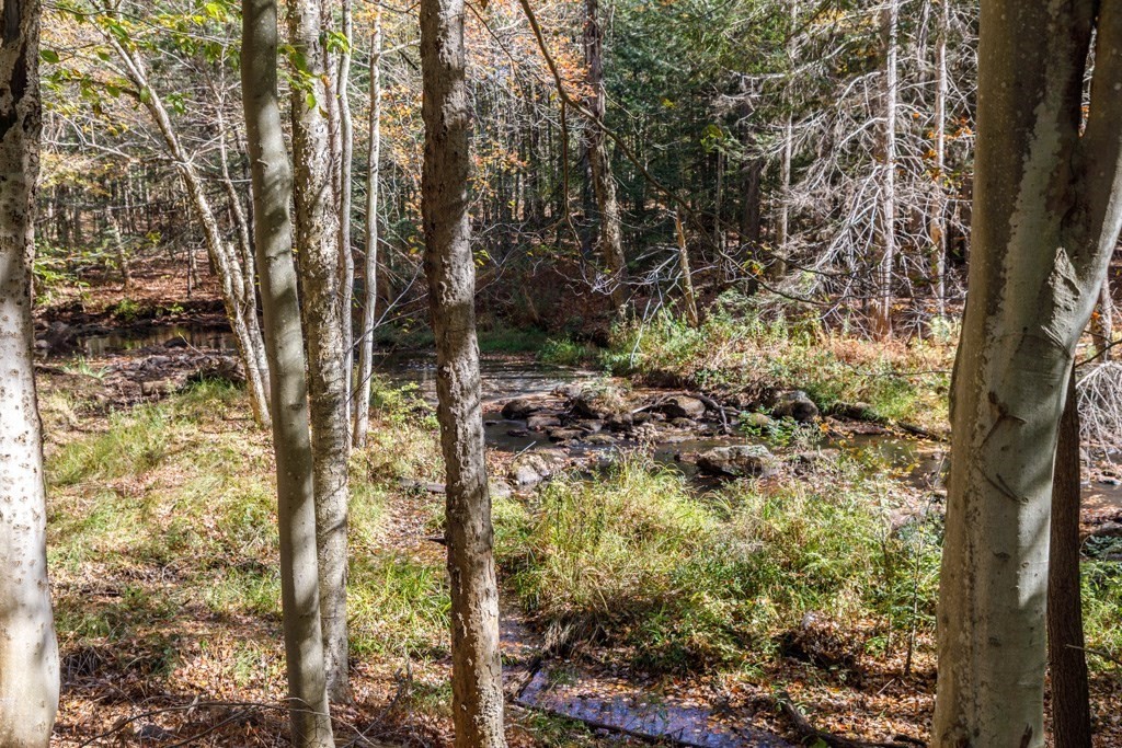 283 Mill Street Gardner, MA 01440 - Photo 25 of 30 a view of a yard with trees