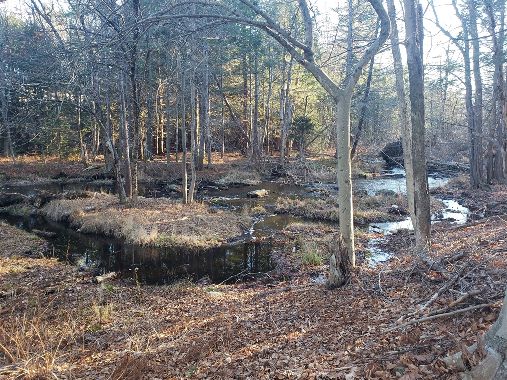 283 Mill Street Gardner, MA 01440 - Photo 28 of 30 a backyard of a house with lots of green space