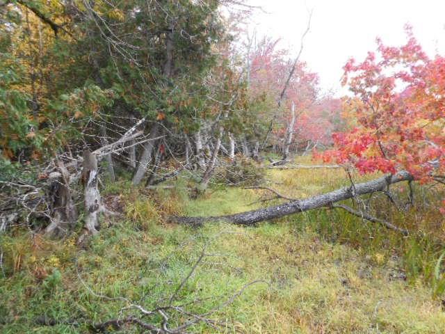 100 Sibley Road Burlington, ME 04417 - Photo 2 of 5 Photo
