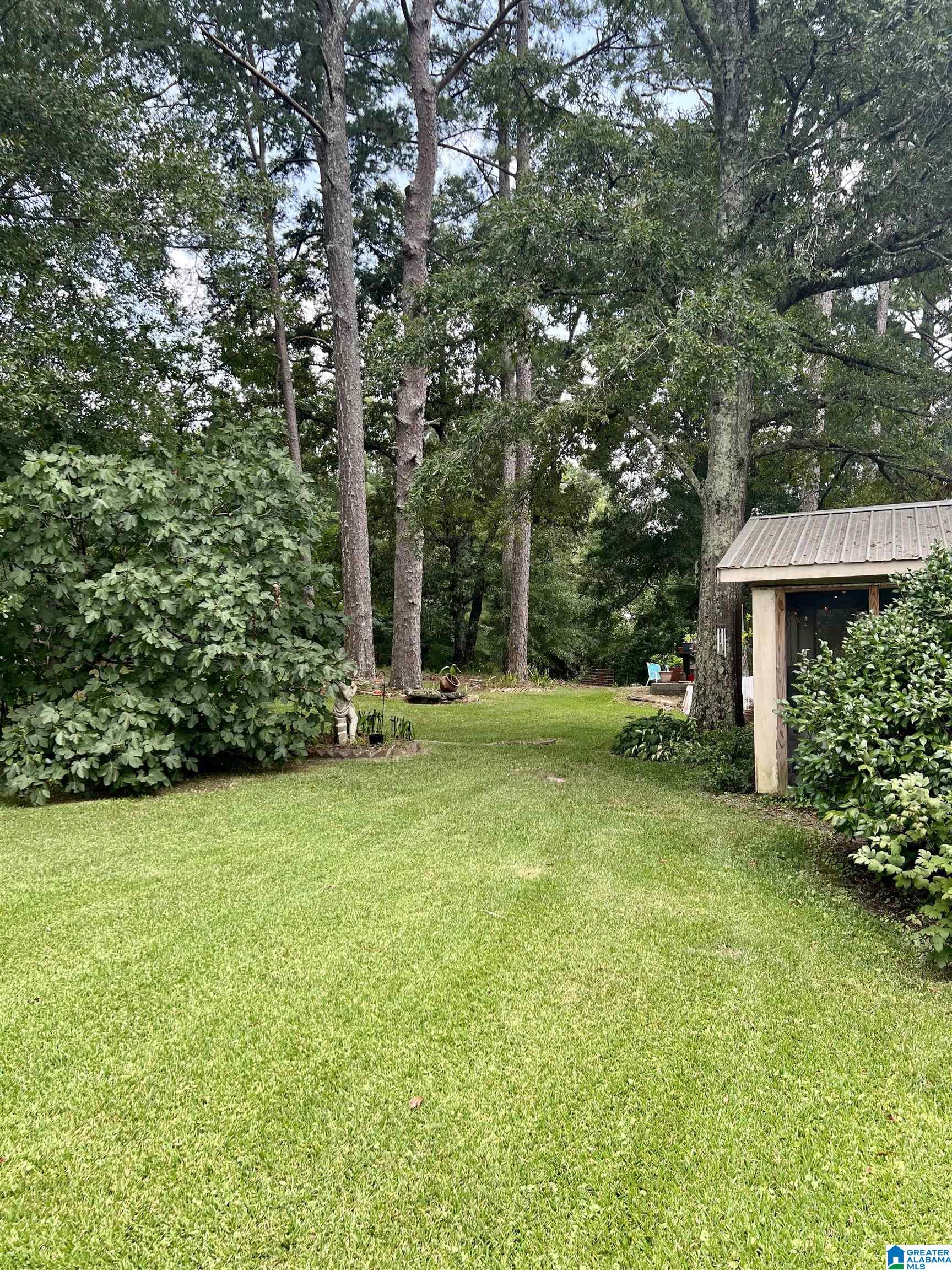 7650 Chelsea Road Columbiana, AL 35051 - Photo 17 of 47
