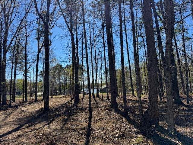 a view of a backyard with trees