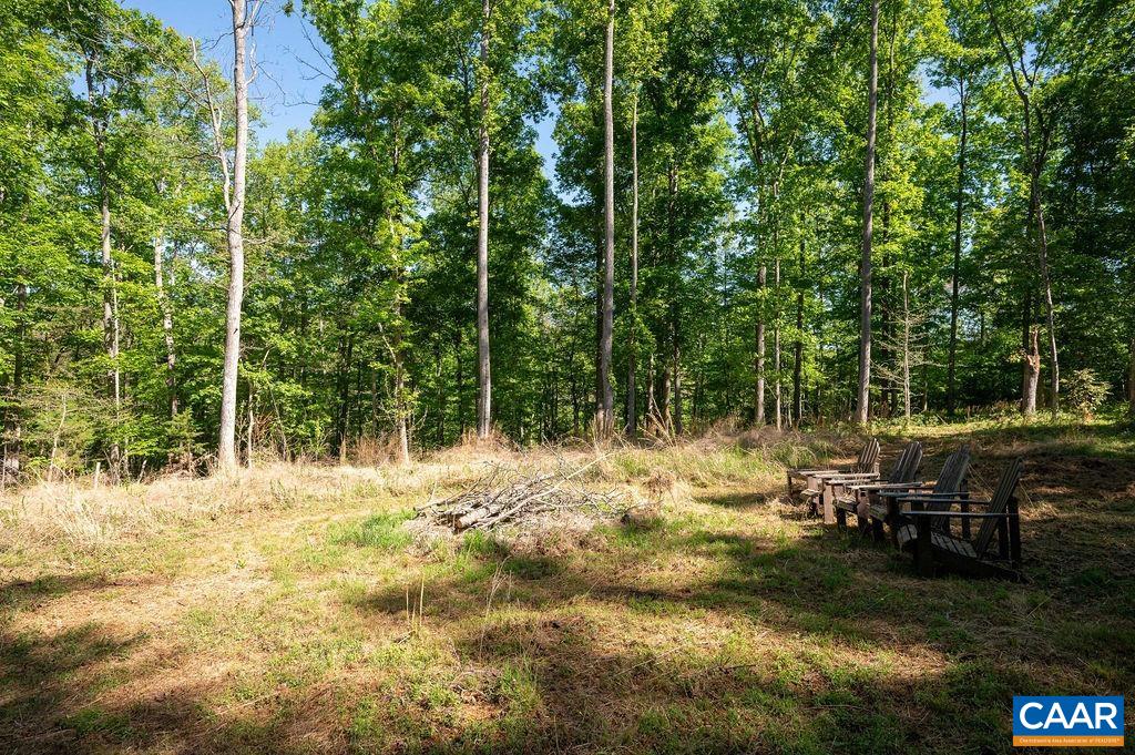 6574 Dick Woods Road Charlottesville, VA 22903 - Photo 55 of 68