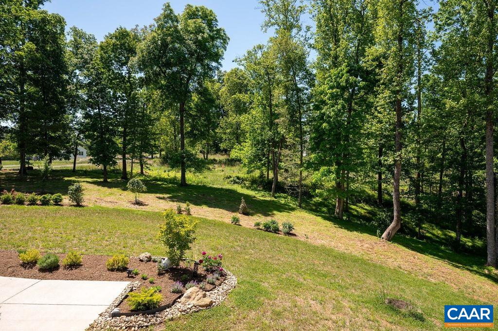 6574 Dick Woods Road Charlottesville, VA 22903 - Photo 56 of 68