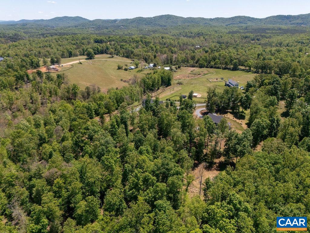 6574 Dick Woods Road Charlottesville, VA 22903 - Photo 63 of 68