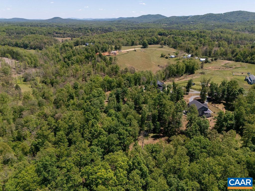 6574 Dick Woods Road Charlottesville, VA 22903 - Photo 64 of 68