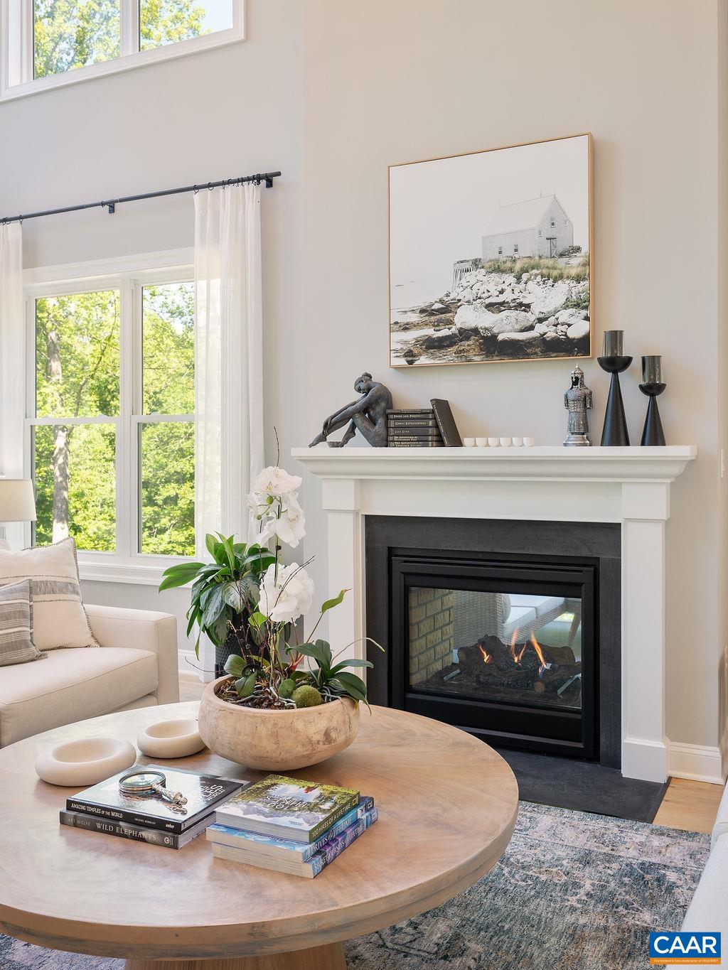 6574 Dick Woods Road Charlottesville, VA 22903 - Photo 10 of 68