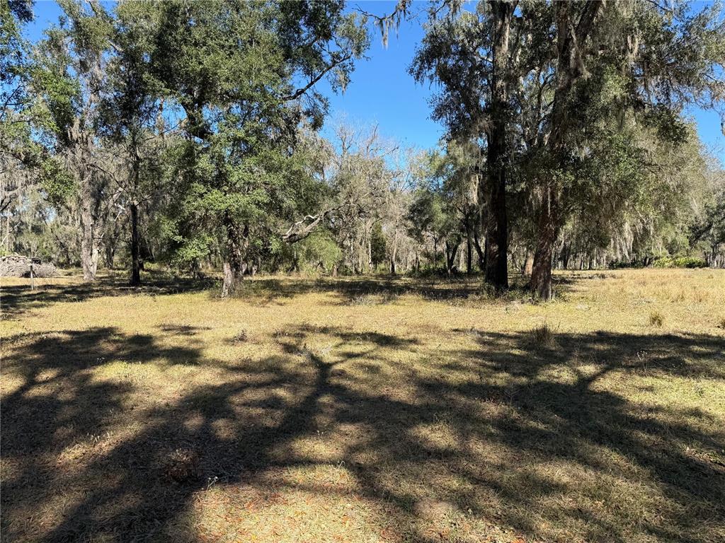 18630 Bradshaw Road Dade City, FL 33523 - Photo 17 of 43 a view of yard covered with snow
