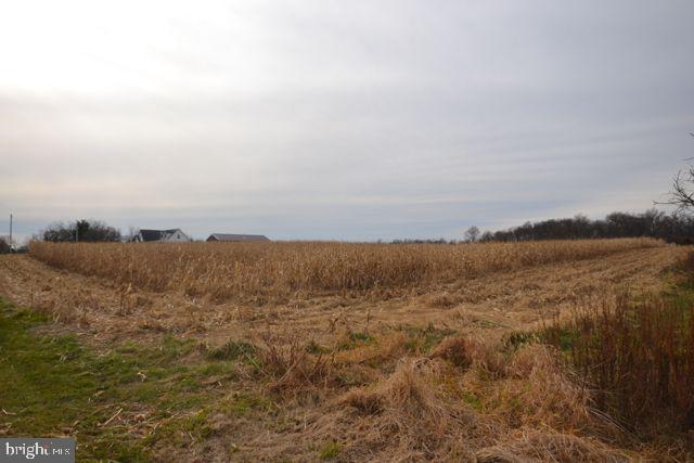 645 Mud College Road Littlestown, PA 17340 - Photo 4 of 7