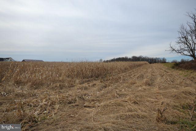 645 Mud College Road Littlestown, PA 17340 - Photo 5 of 7