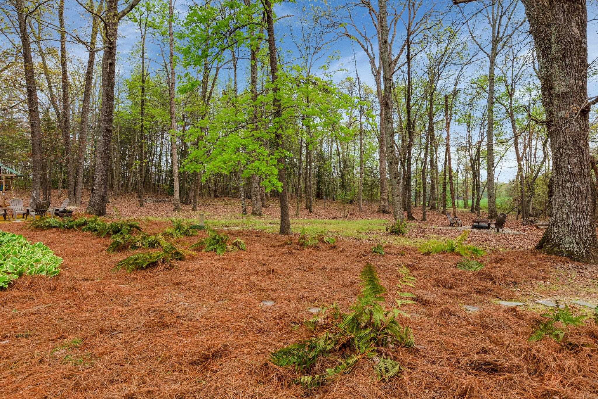 4841 Jordan Road Greer, SC 29651 - Photo 39 of 49