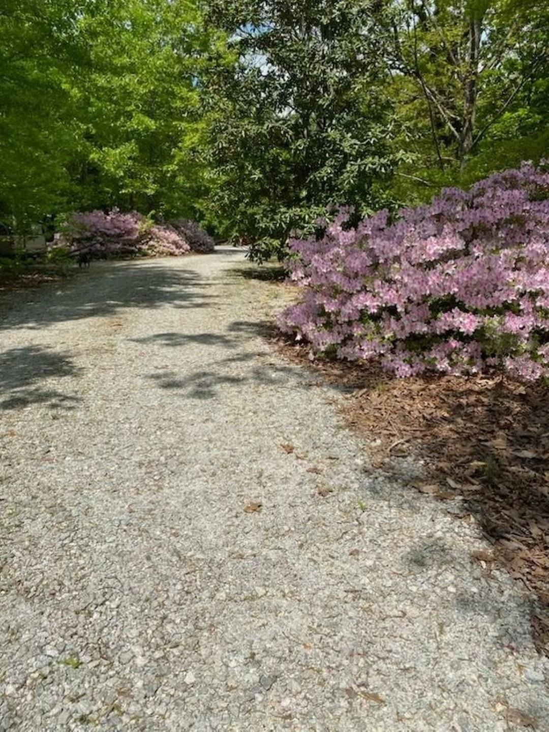 4841 Jordan Road Greer, SC 29651 - Photo 46 of 49