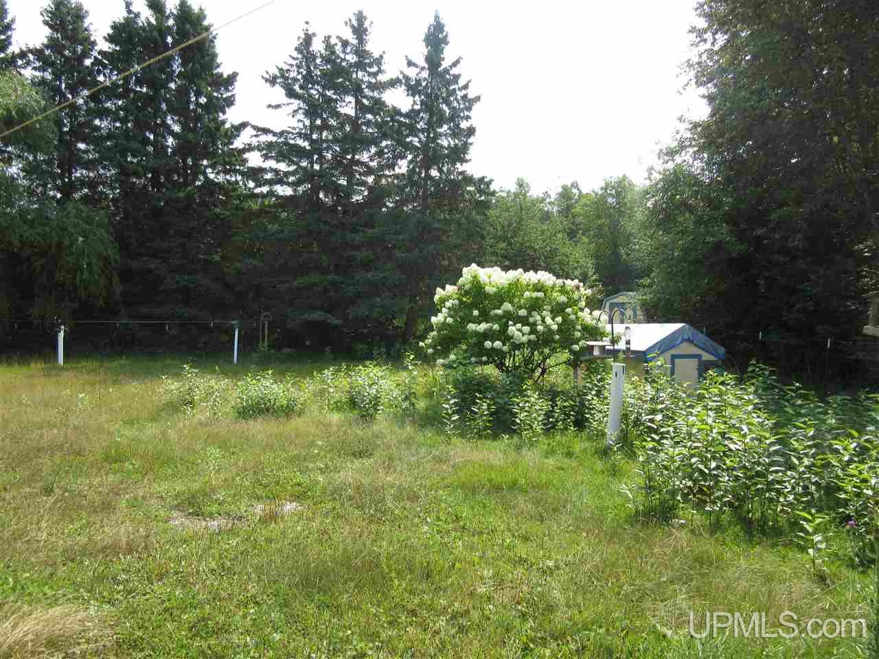 2694 River Road Gulliver, MI 49840 - Photo 3 of 24