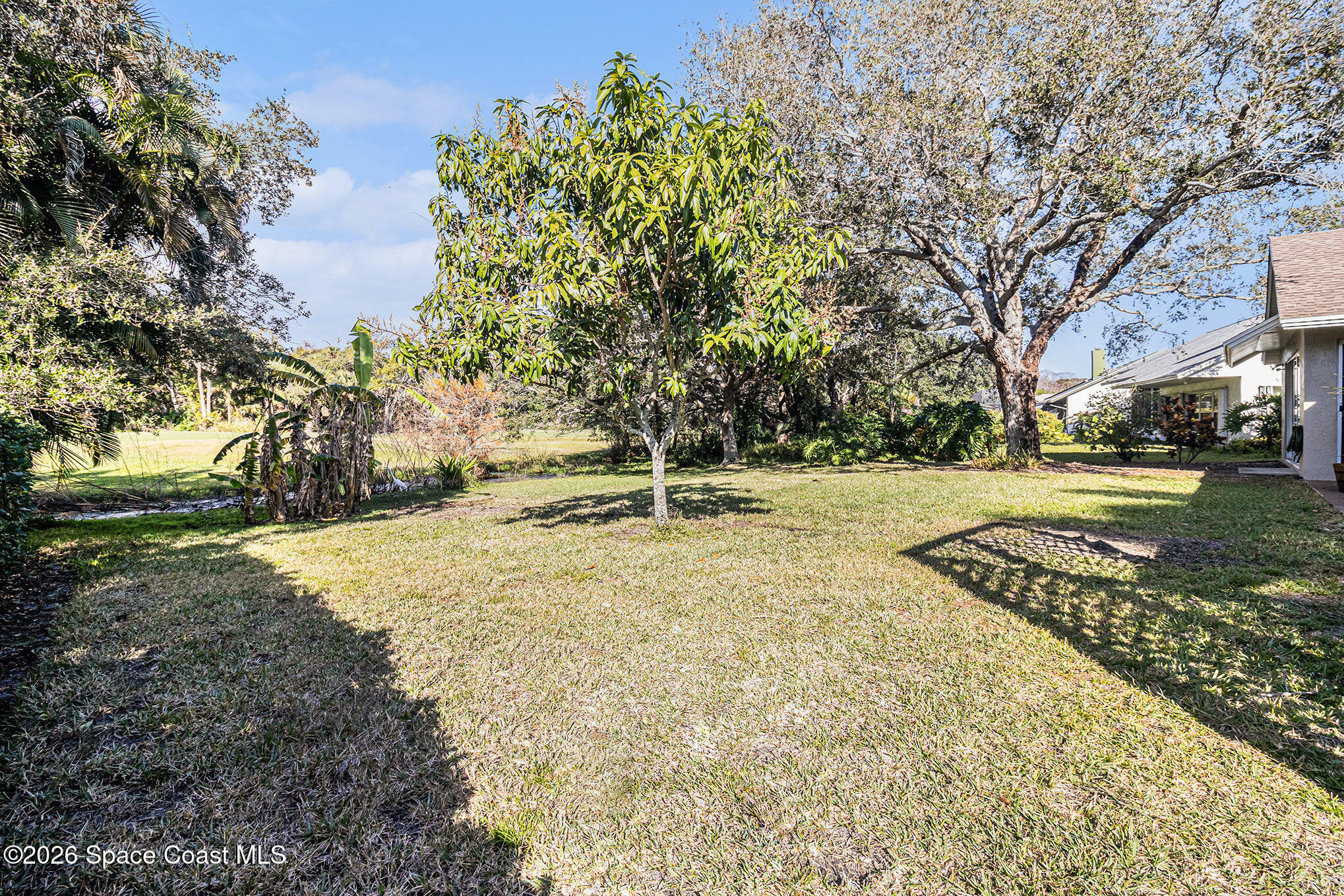 4115 Savannahs Trail Merritt Island, FL 32953 - Photo 34 of 42 a ground with lots of trees