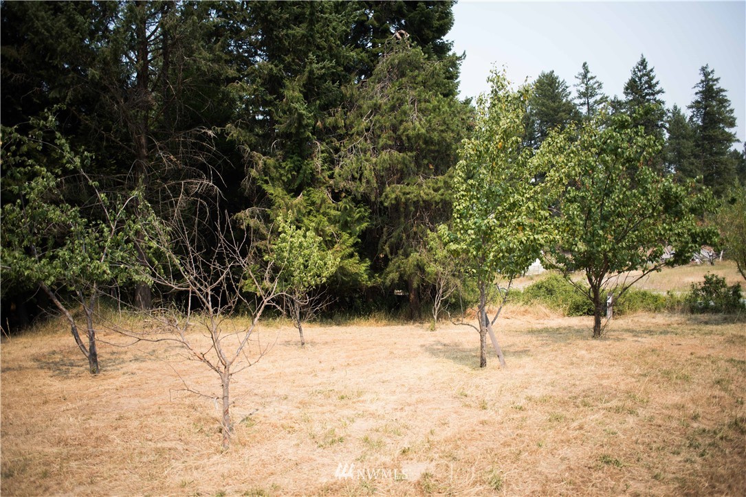 332 Gold Creek Loop Road Colville, WA 99114 - Photo 22 of 25