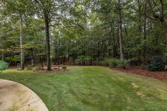 a view of a park with large trees