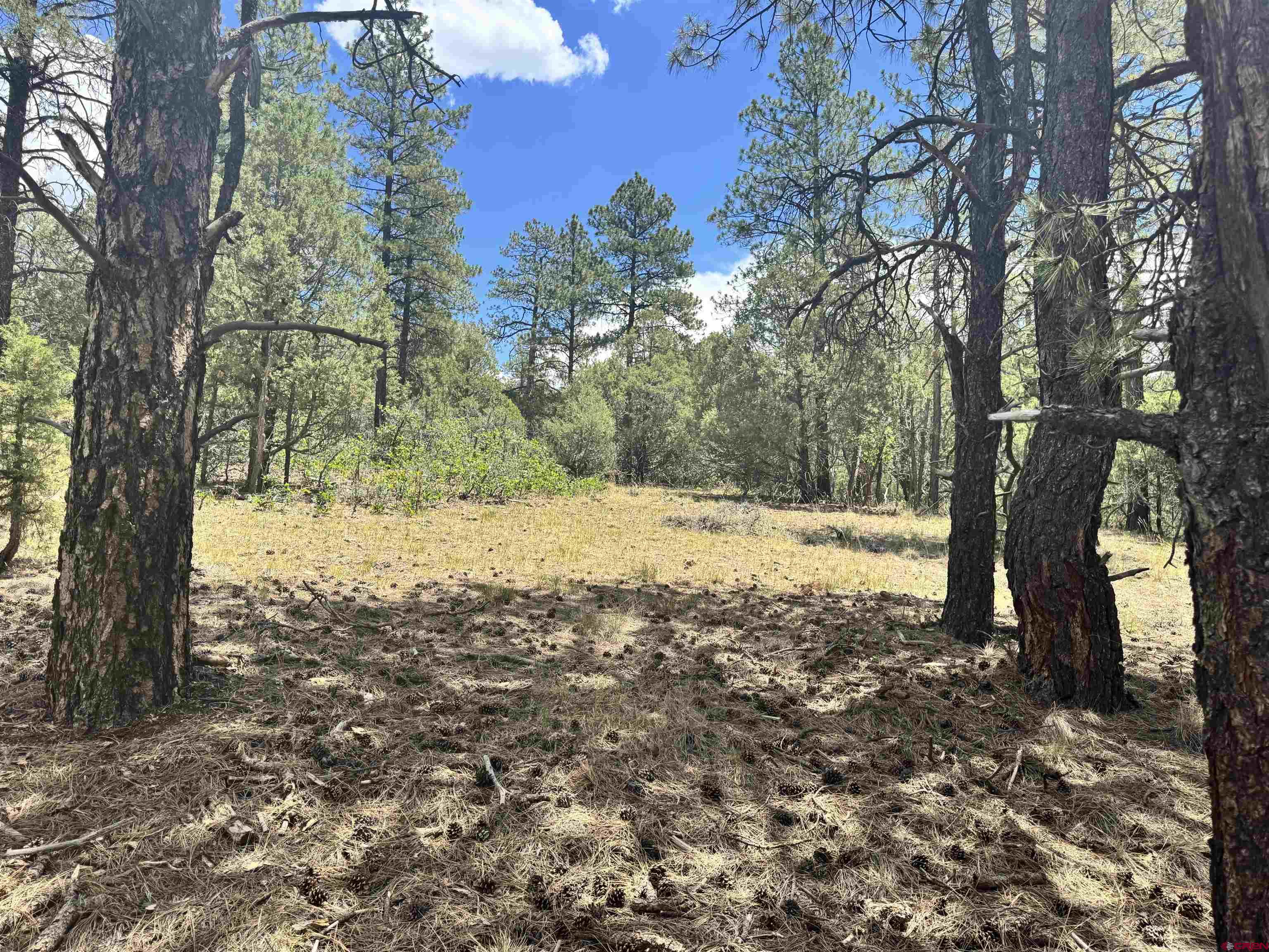 1259 Westview Road Pagosa Springs, CO 81147 - Photo 17 of 29