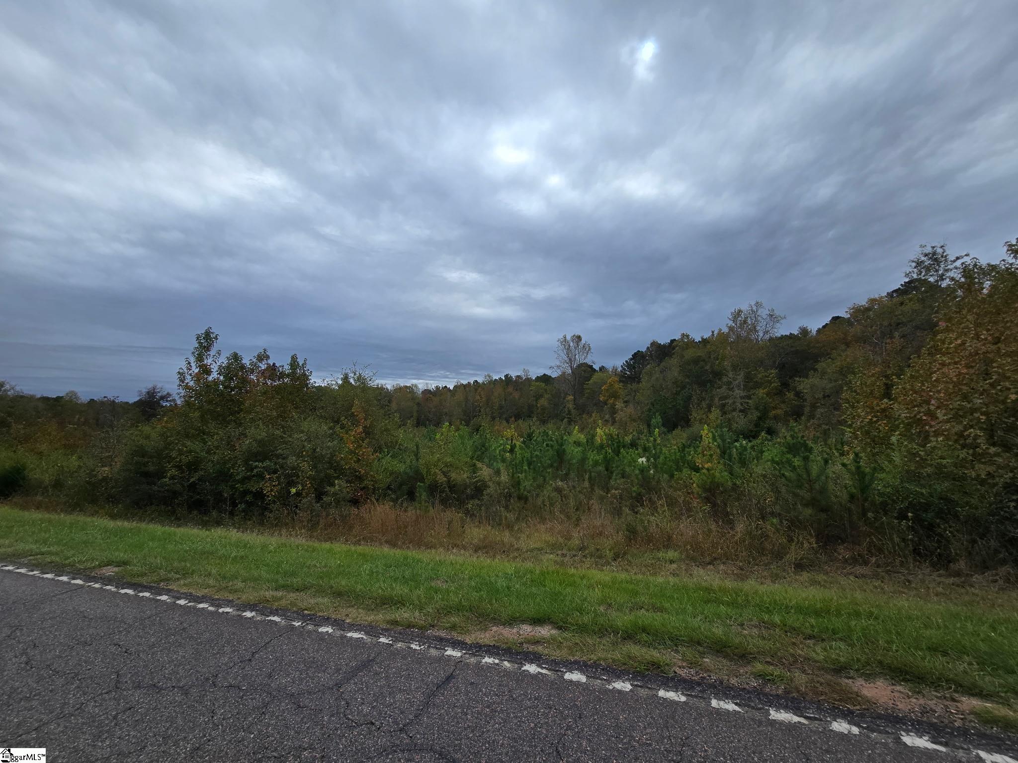 0 East E Highway McCormick, SC 29835 - Photo 1 of 4