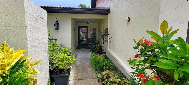 a potted plant sitting in front of a door