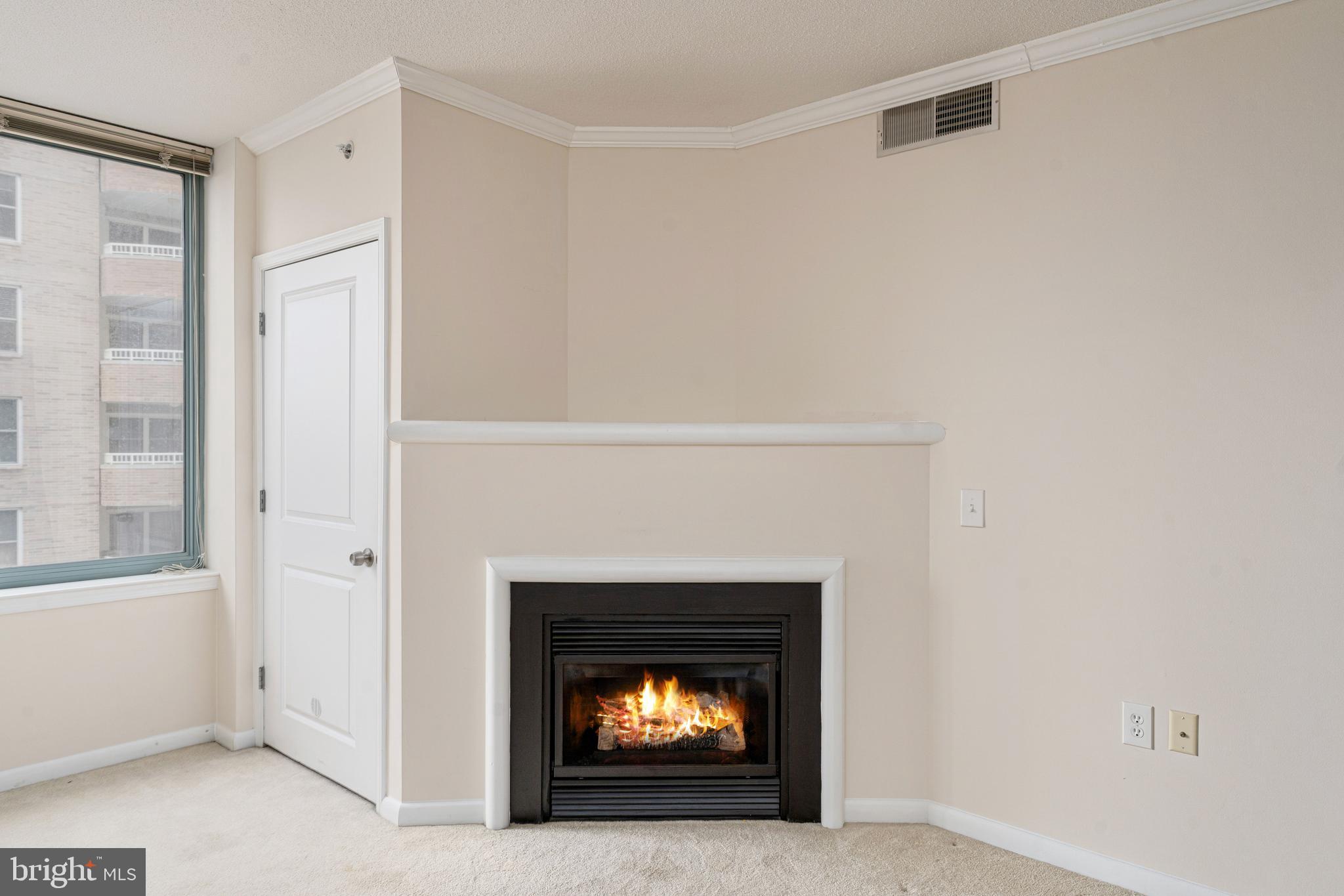 851 North Glebe Road, Unit 1407 Arlington, VA 22203 - Photo 27 of 51 a room with a fireplace