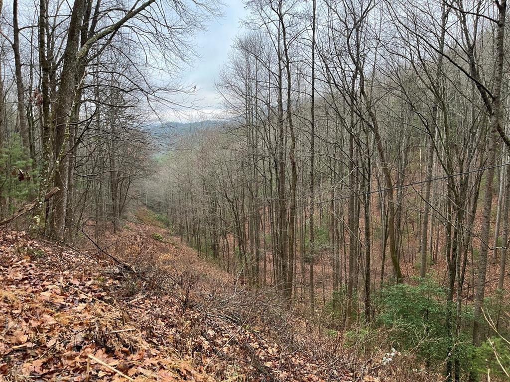 Tbd Burrell Mountain Road Murphy, NC 28906 - Photo 25 of 28
