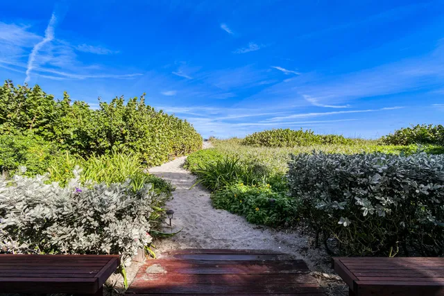 a view of a yard with plants and a yard