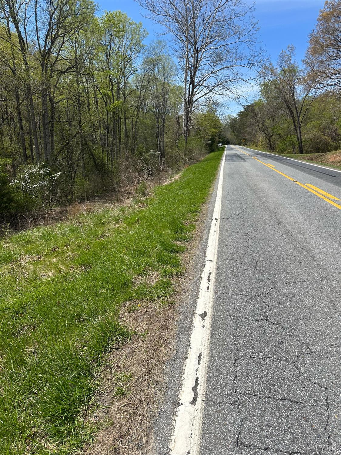 0 Gladys Road Altavista, VA 24517 - Photo 11 of 11 a view of a backyard