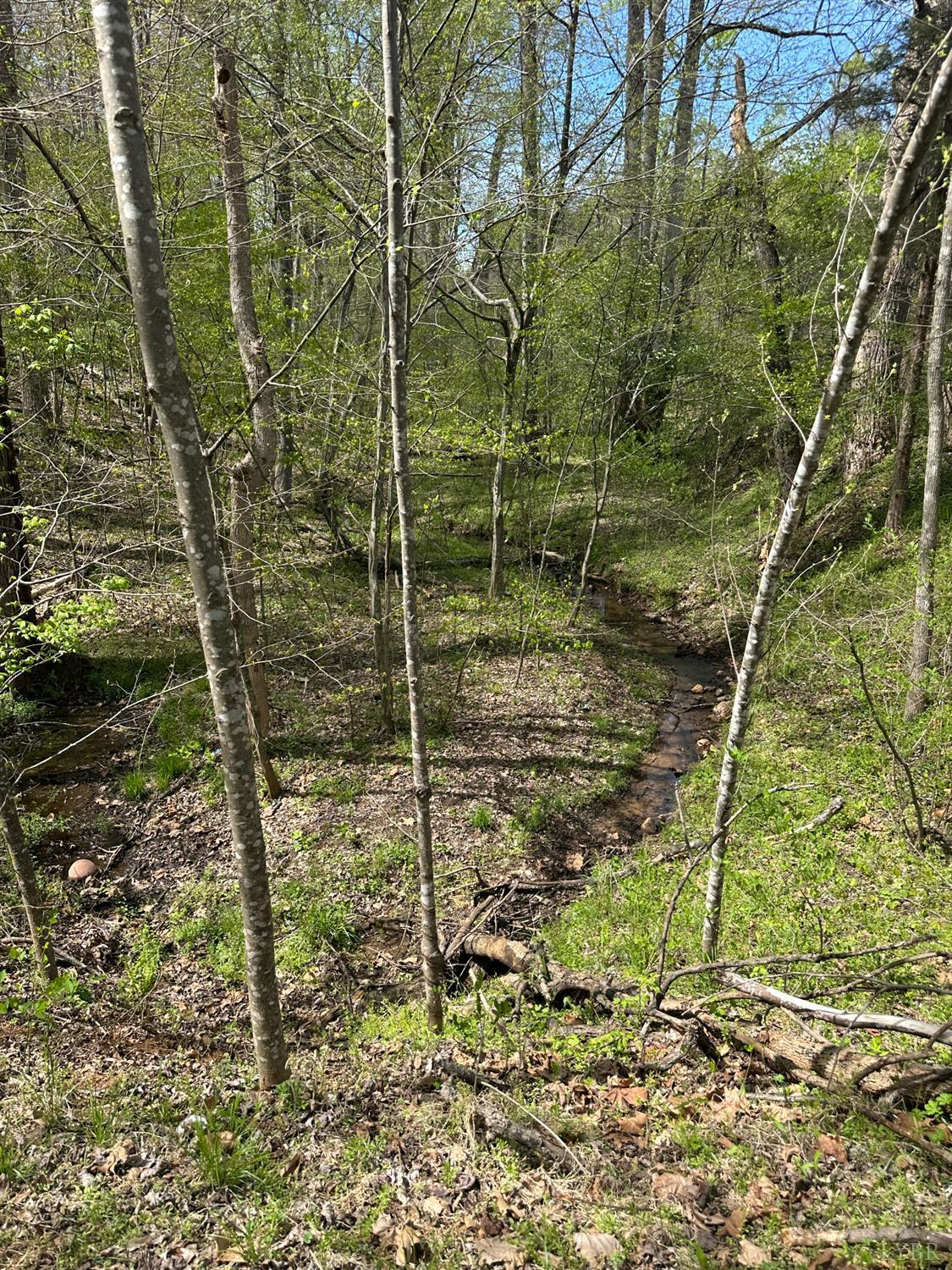 0 Gladys Road Altavista, VA 24517 - Photo 2 of 11