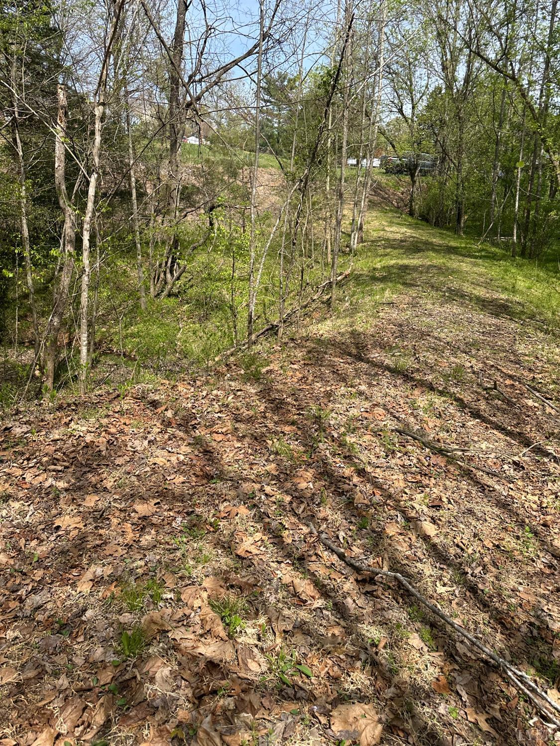 0 Gladys Road Altavista, VA 24517 - Photo 10 of 11 a view of a yard with trees