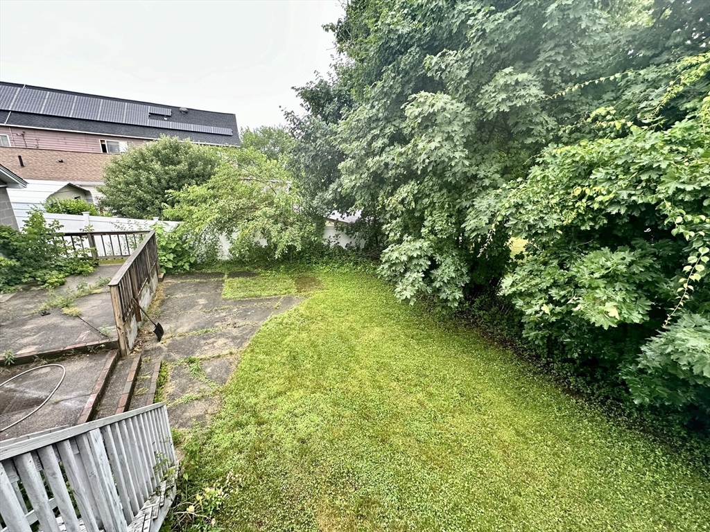 354 University Avenue Lowell, MA 01854 - Photo 13 of 13 a view of a backyard with plants