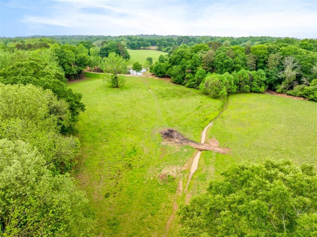 2630 Prospect Road Toccoa, GA 30577 - Photo 35 of 40 a view of a big yard with large trees
