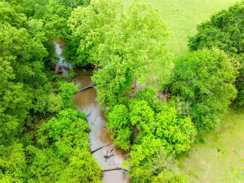 2630 Prospect Road Toccoa, GA 30577 - Photo 36 of 40 a backyard of a house with lots of green space