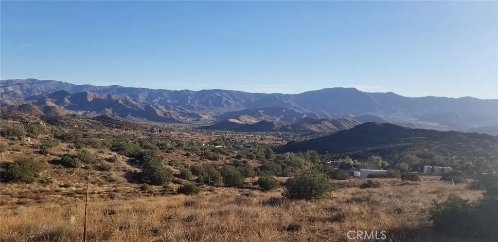 0 Rolandee Street Acton, CA 93510 - Photo 2 of 12 a view of a lush green hillside and a houses