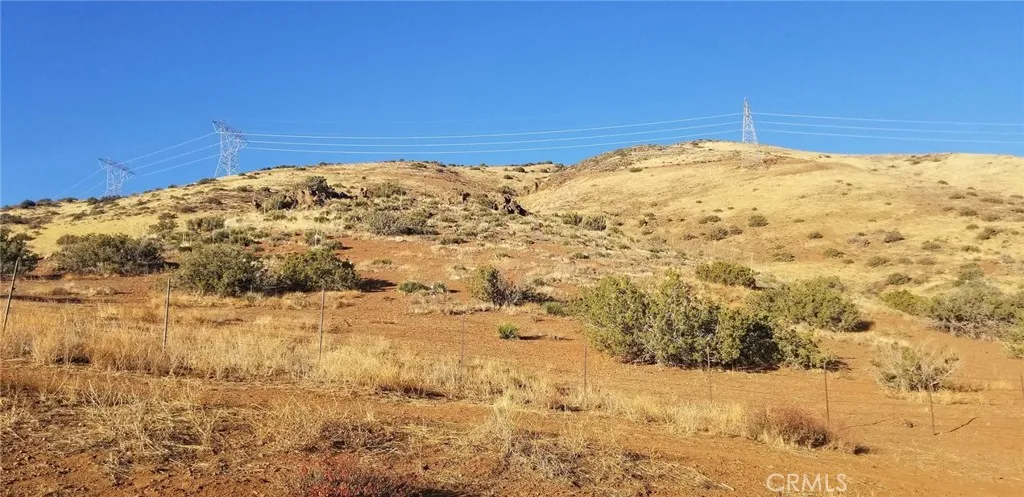 0 Rolandee Street Acton, CA 93510 - Photo 3 of 12