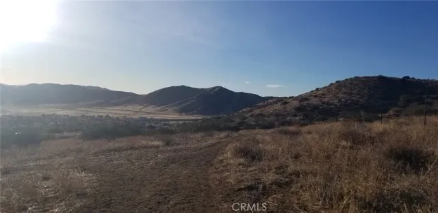 a view of a forest with mountains in the background
